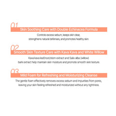 The Saem See & Saw A.C Control Deep Cleansing Foam – Acne Care Face Wash 120ml