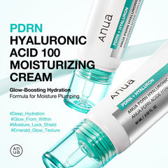Anua PDRN Hyaluronic Acid 100 Moisture Cream, 60 ml / 2.02 fl oz - Anua K-Beauty view 2