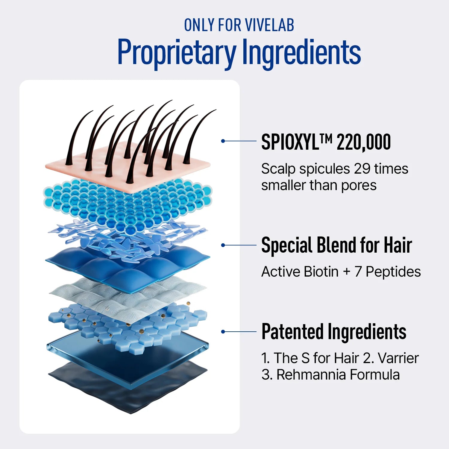 ViveLab Sensitive Scalp Care Set – Nourishing Anti-Hair Loss Duo