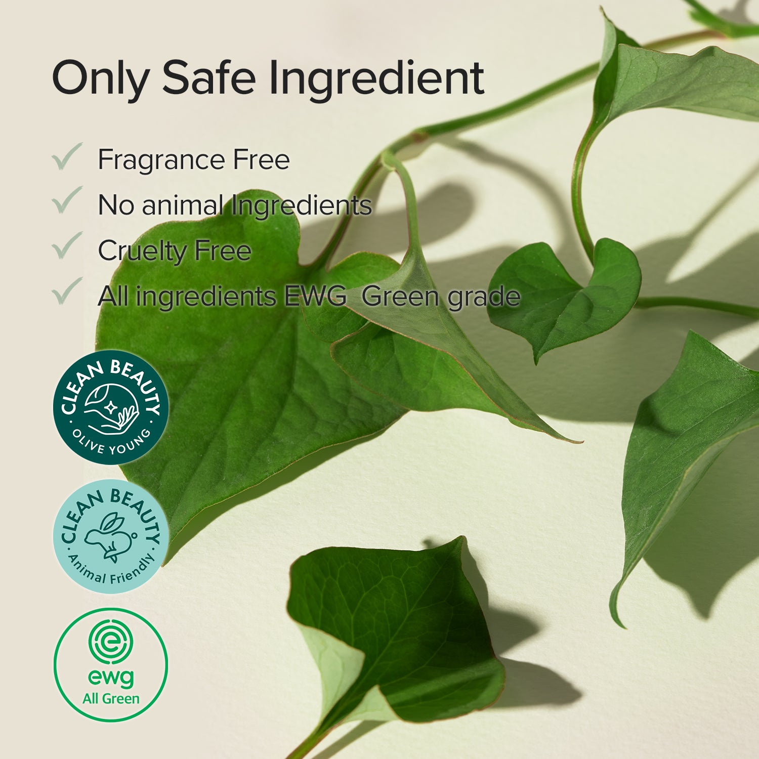 Mary & May Houttuynia Cordata + Tea Tree Serum 30ml – Calming & Pore-Clearing Treatment