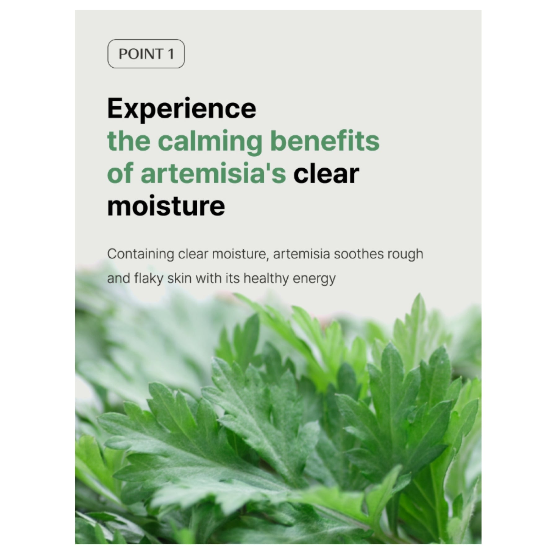 The Saem Artemisia Steam Cream – Calming Hydrating Moisturizer 100ml