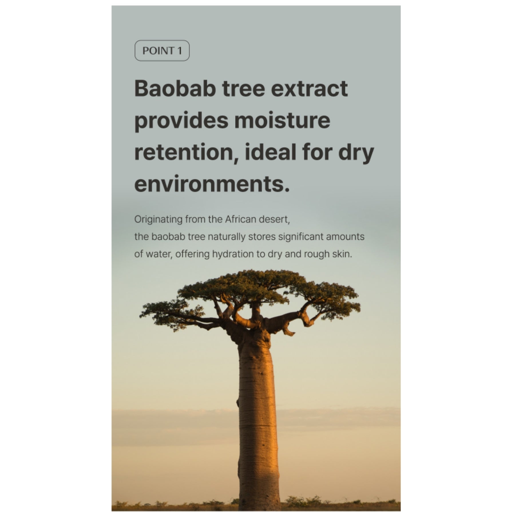 The Saem Baobab Collagen Cream – Firming Hydrating Moisturizer 100ml