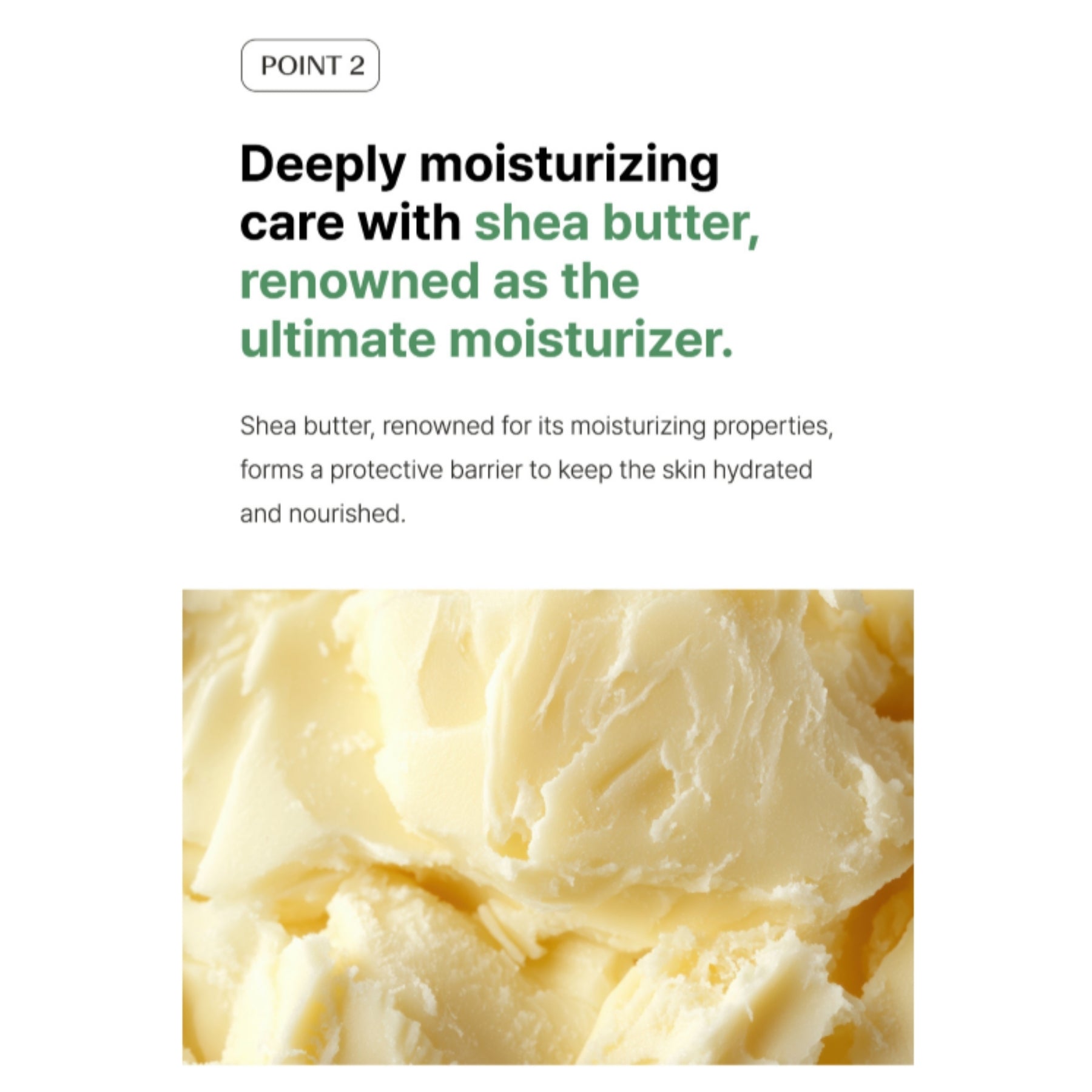 The Saem Artemisia Steam Cream – Calming Hydrating Moisturizer 100ml