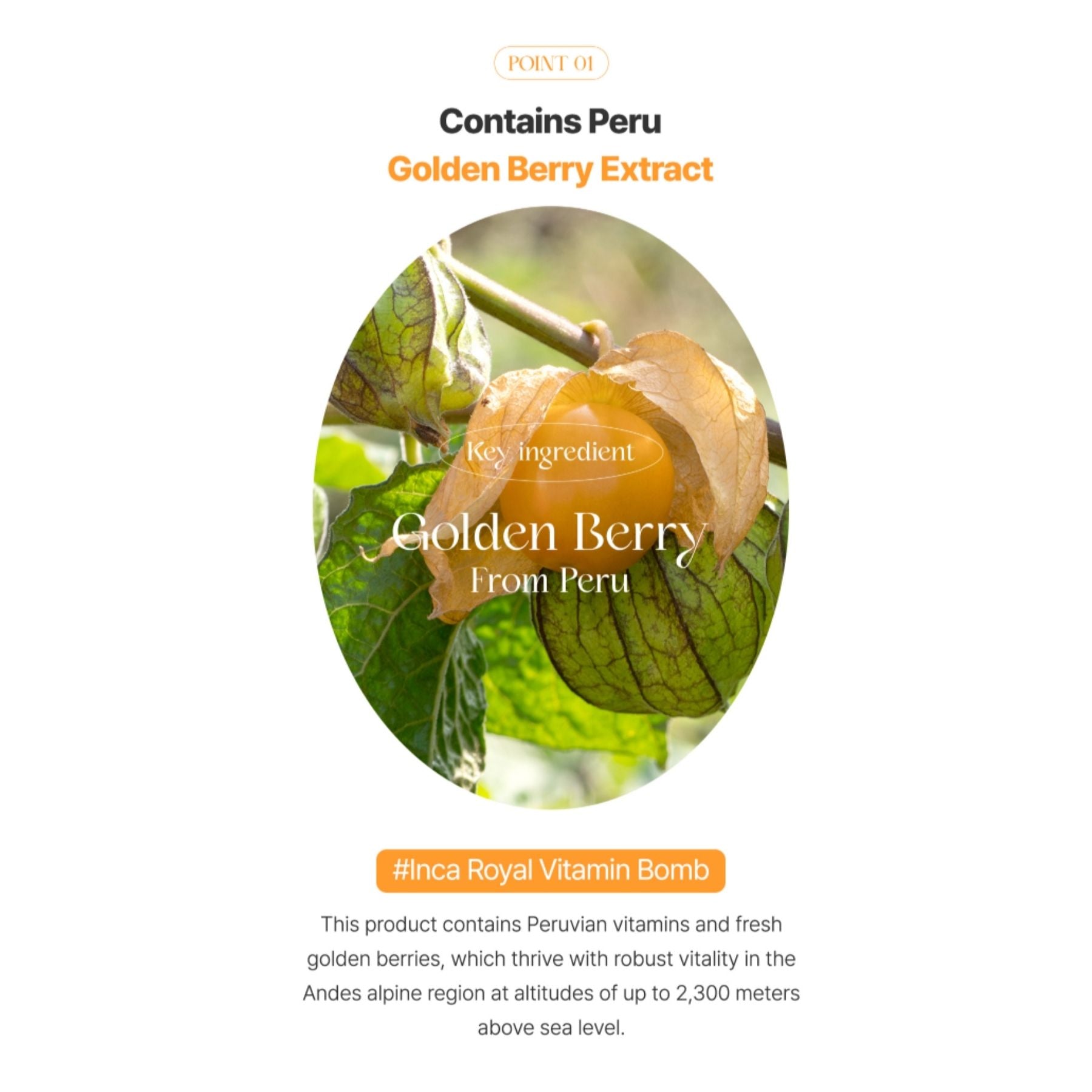 The Saem Urban Eco Golden Berry C Toner Pads with Vitamin C & Niacinamide – 50 pcs