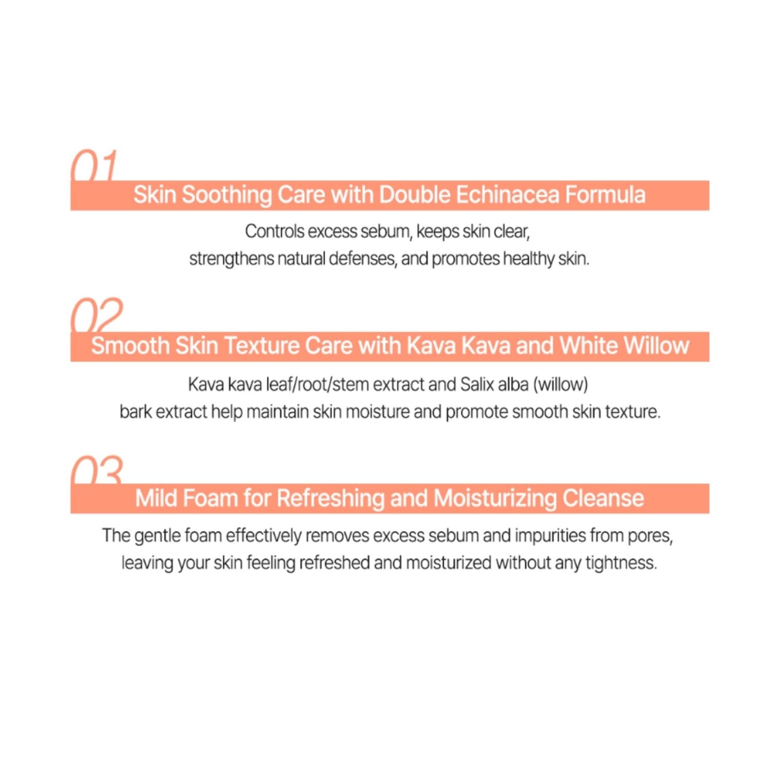 The Saem See & Saw A.C Control Deep Cleansing Foam – Acne Care Face Wash 120ml