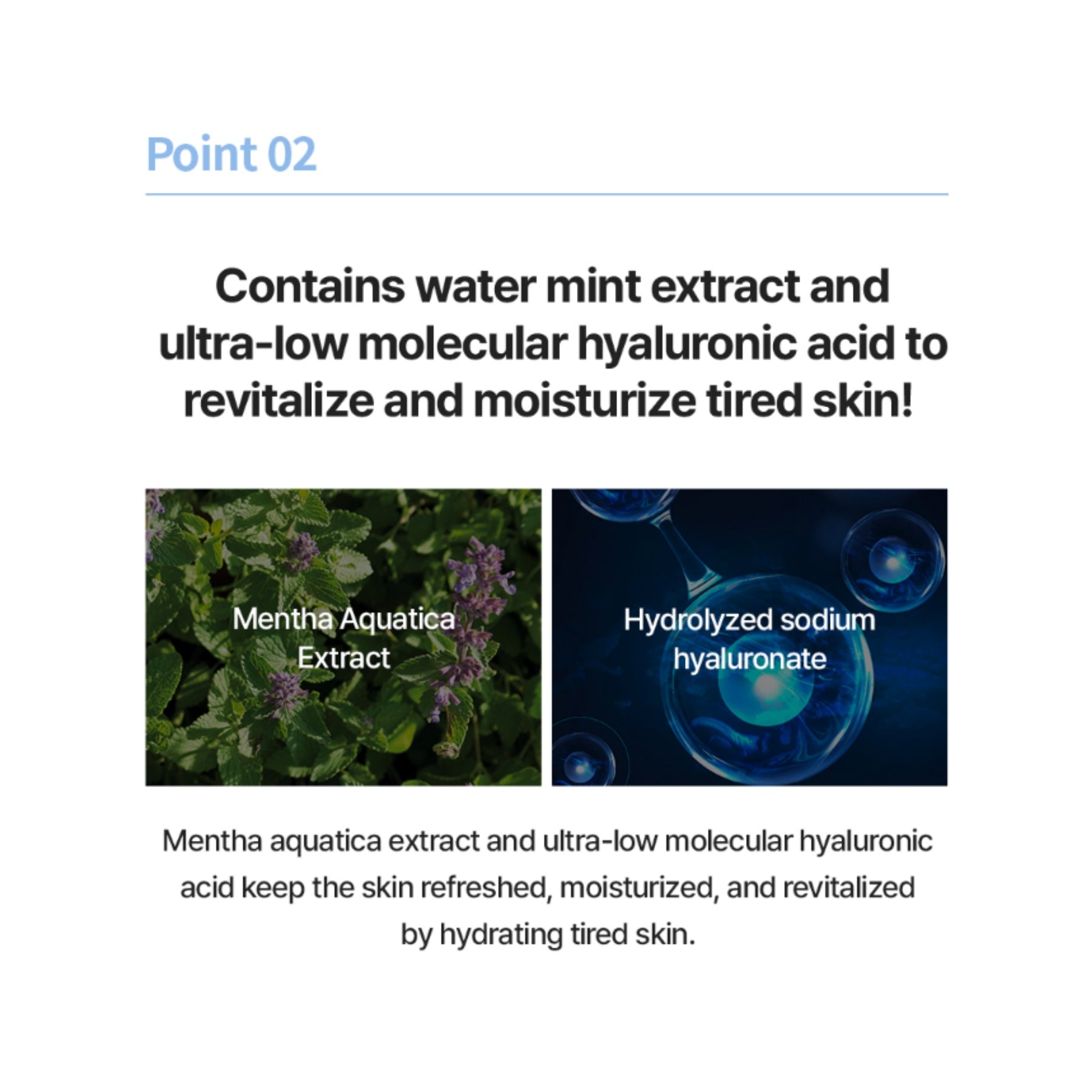 The Saem Eco Earth Aqua Sun Stick SPF50+ PA++++ | Lightweight 22g