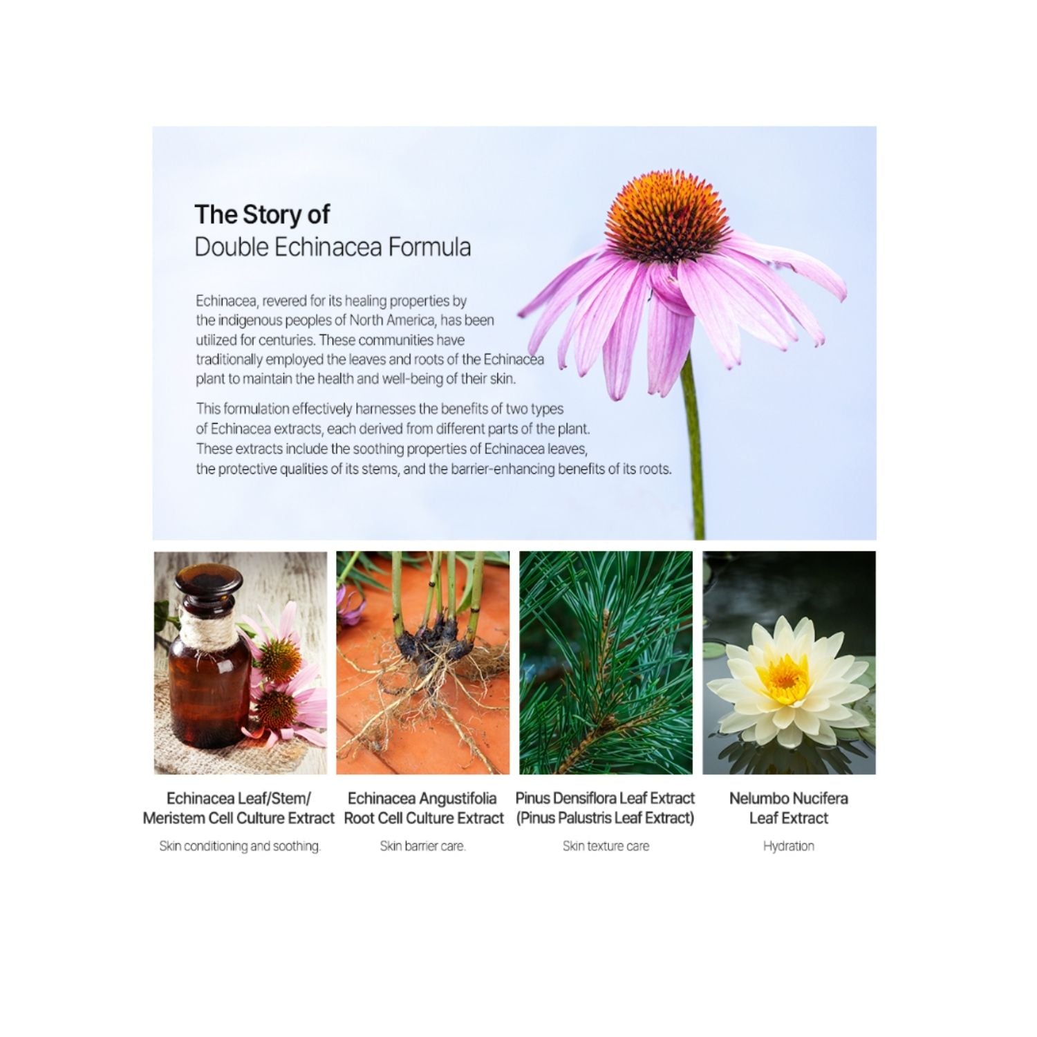 The Saem See & Saw A.C Control Emulsion – Lightweight Moisturizer for Acne-Prone Skin