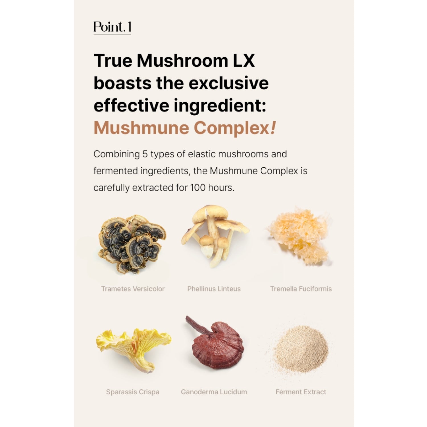 The Saem True Mushroom LX Treatment Toner – Repairing & Balancing 120ml