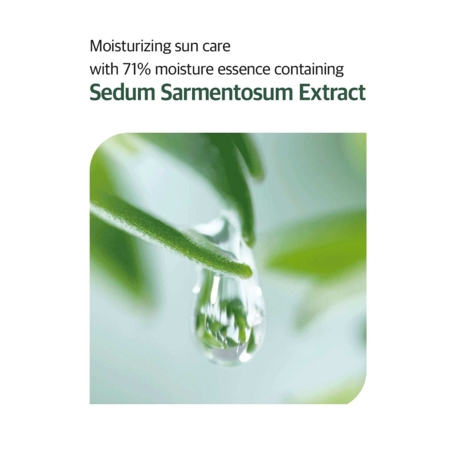 The Saem UV Waterfit Soothing Sun Essence SPF50+ PA++++ – Vegan (2-Pack)