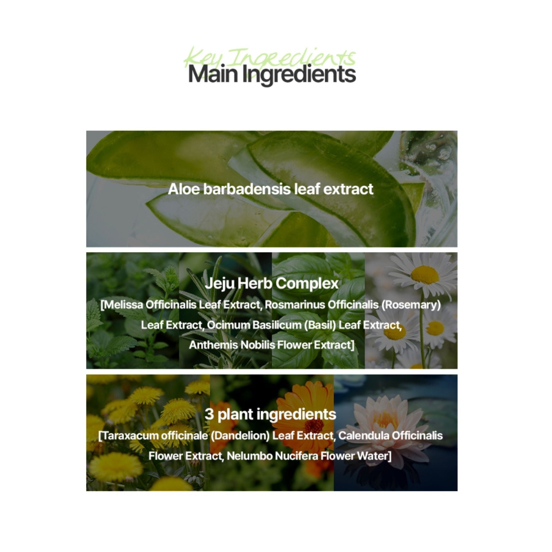 The Saem Jeju Aloe Sun Gel SPF50+ PA++++ – Lightweight Hydrating Sunscreen 50g