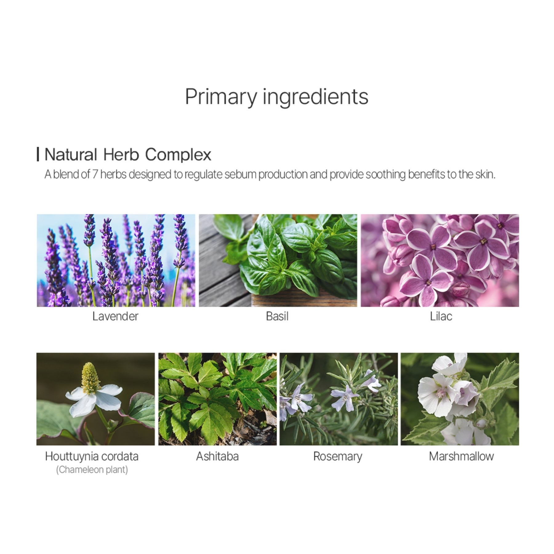 The Saem Airy Cotton Matte Foundation SPF30 – Natural Beige 30ml