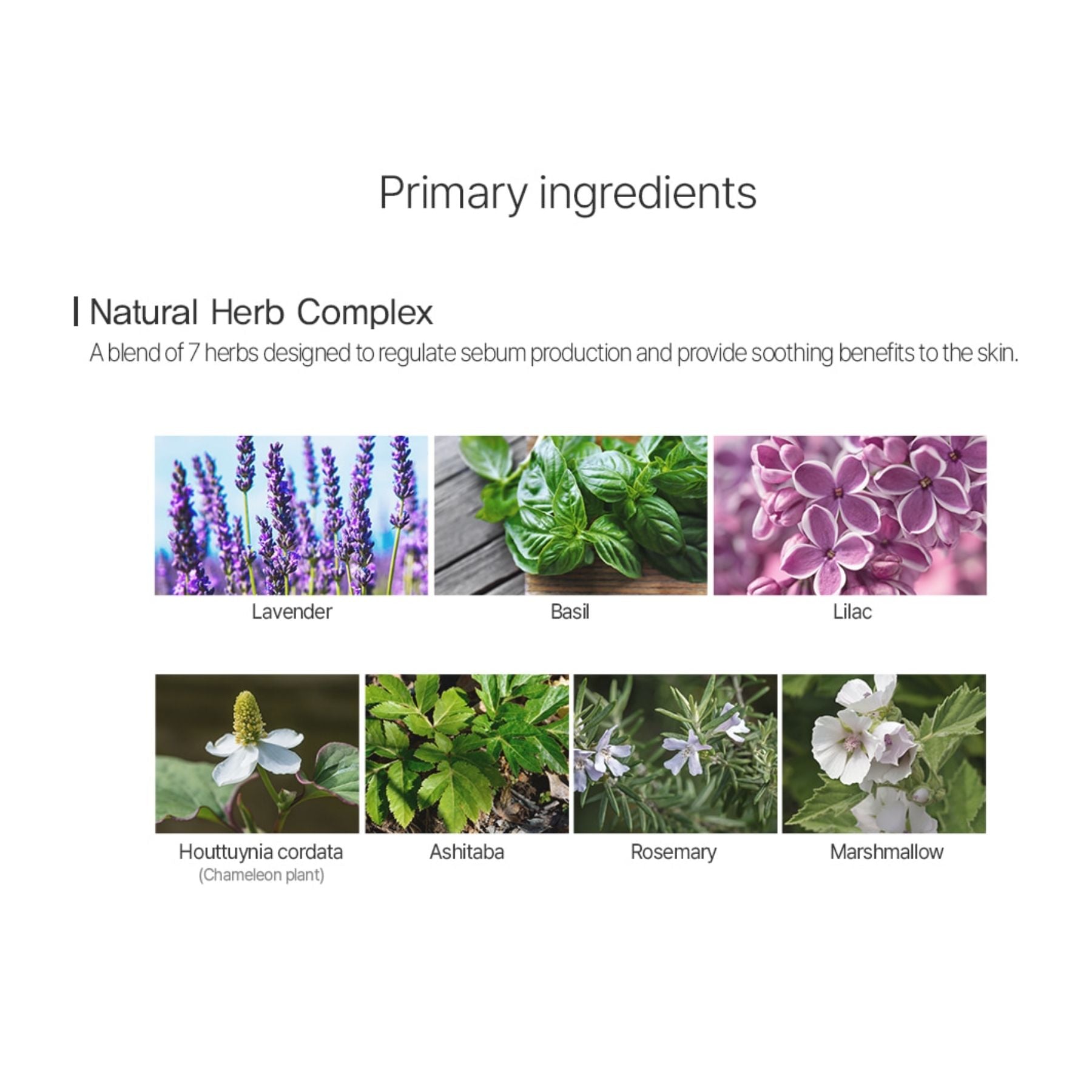 The Saem Airy Cotton Makeup Base Lavender SPF50+ PA+++ 30ml