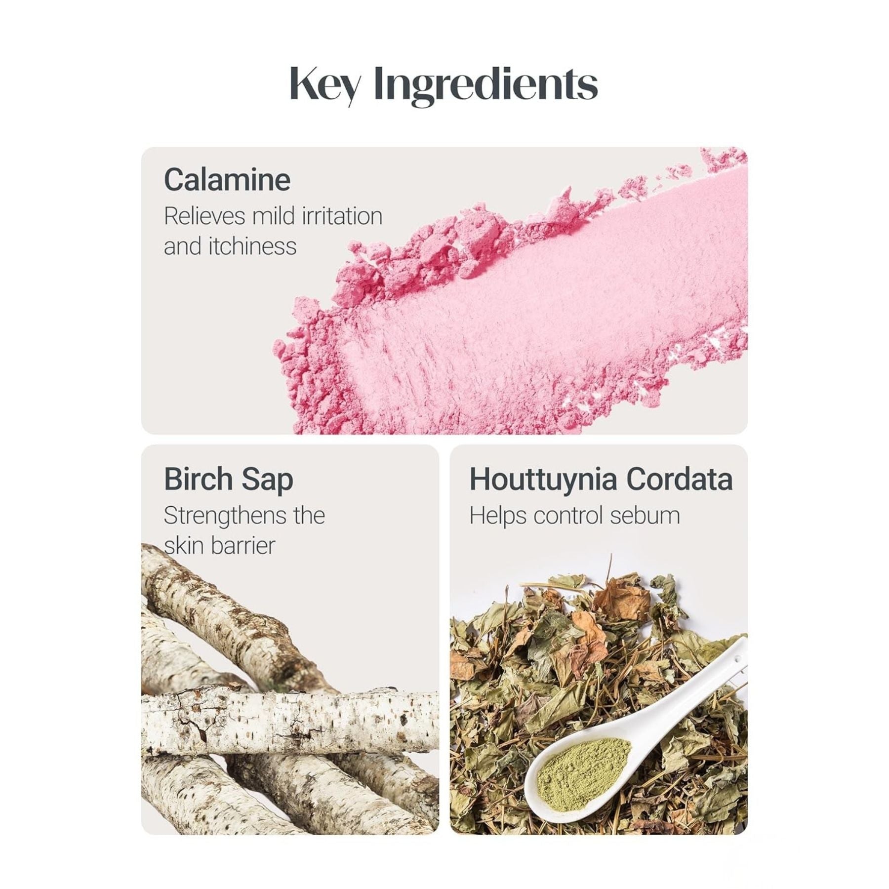 The Saem Saemmul Perfect Pore Pink Pact – Translucent Pink Powder 11g