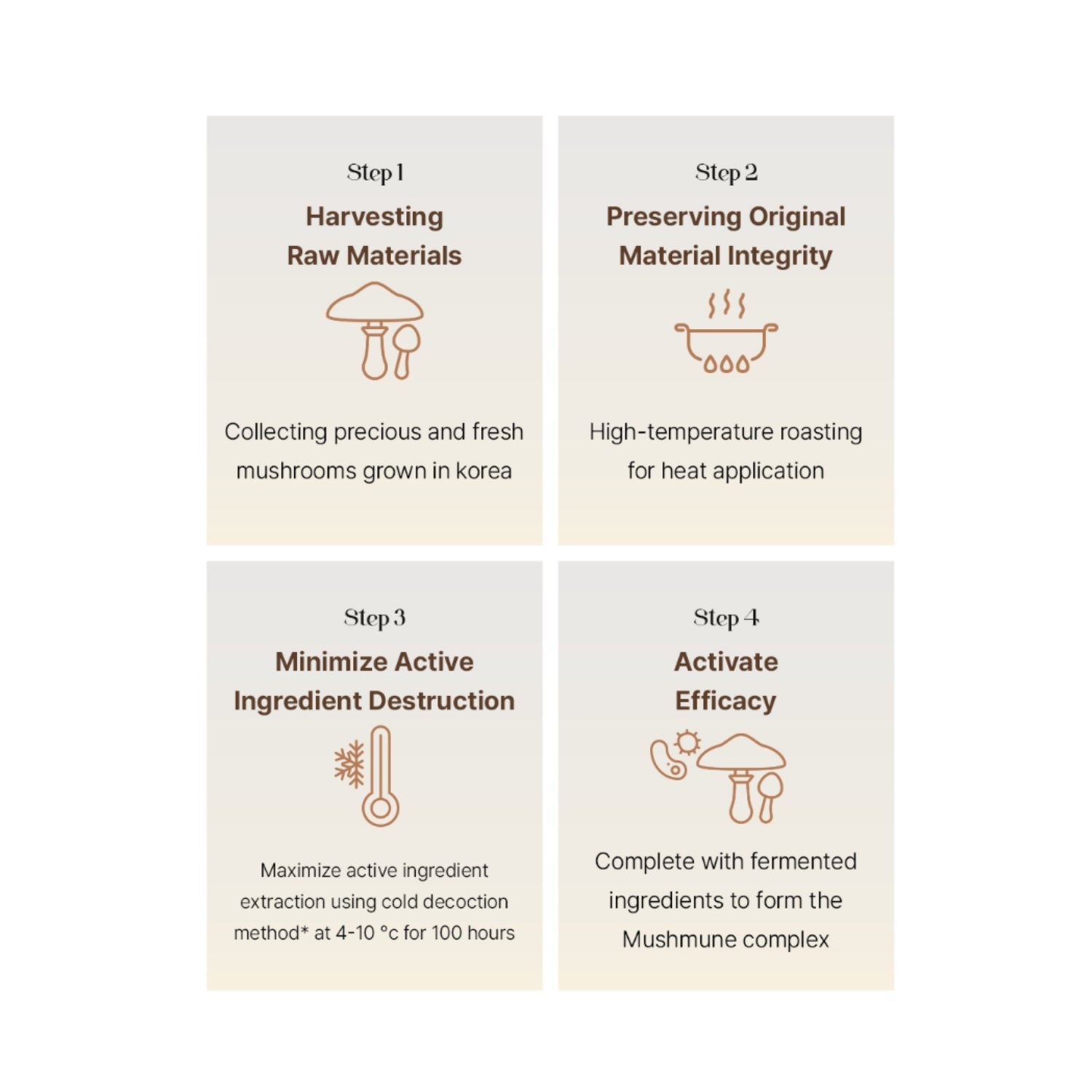 The Saem True Mushroom LX Treatment Toner – Repairing & Balancing 120ml