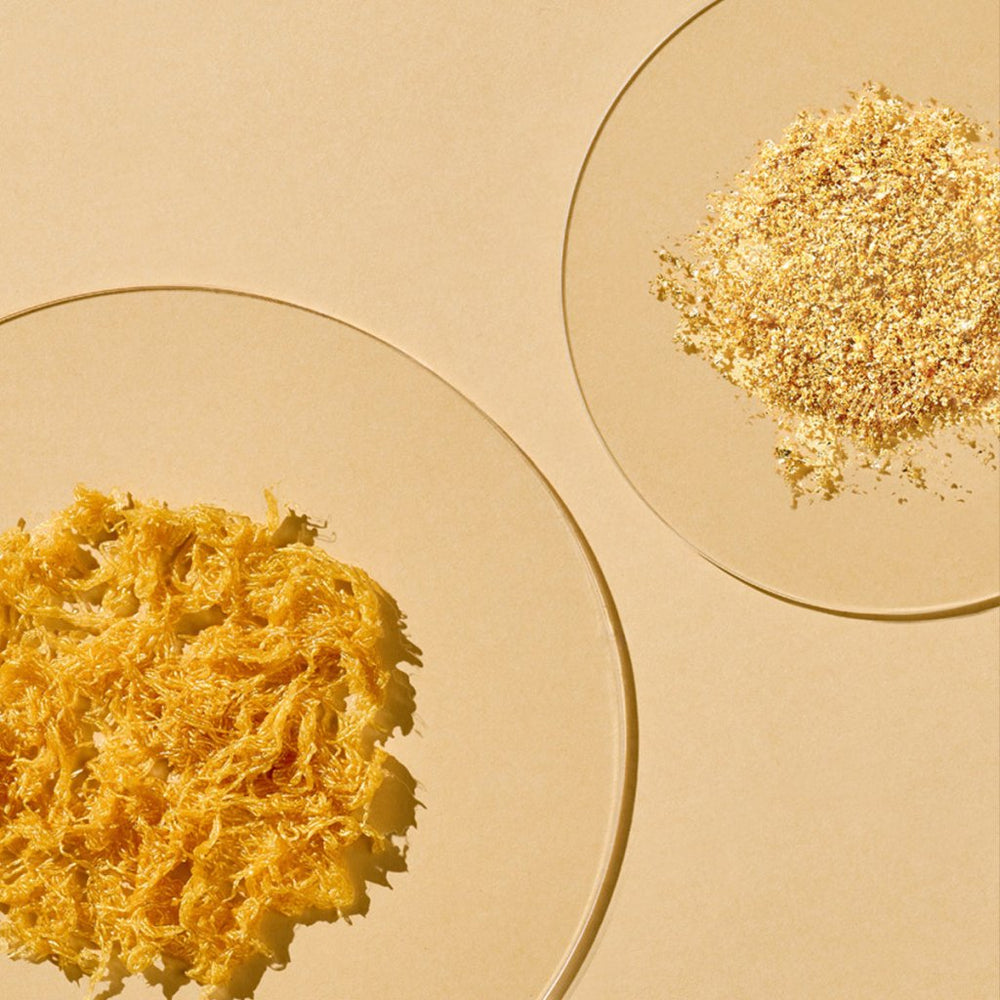 The Saem Gold Lifting Cream - Altın Işıltılı Yenileyici & Sıkılaştırıcı - The Saem - Vionine